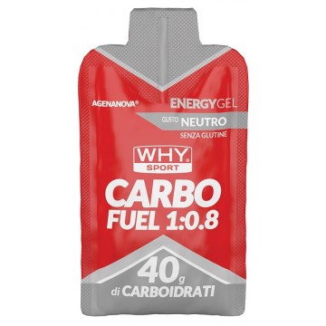 WHYSPORT CARBO FUEL 1:0,8 NEU