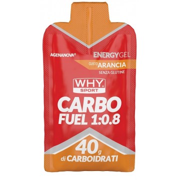 WHYSPORT CARBO FUEL 1:0,8 ARA