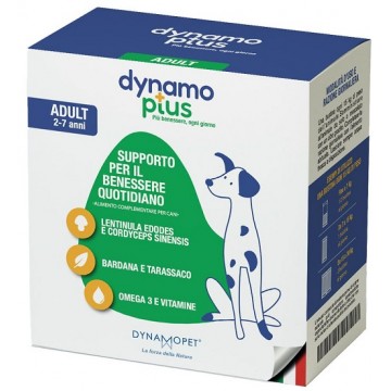 DYNAMOPLUS ADULT 30BUST